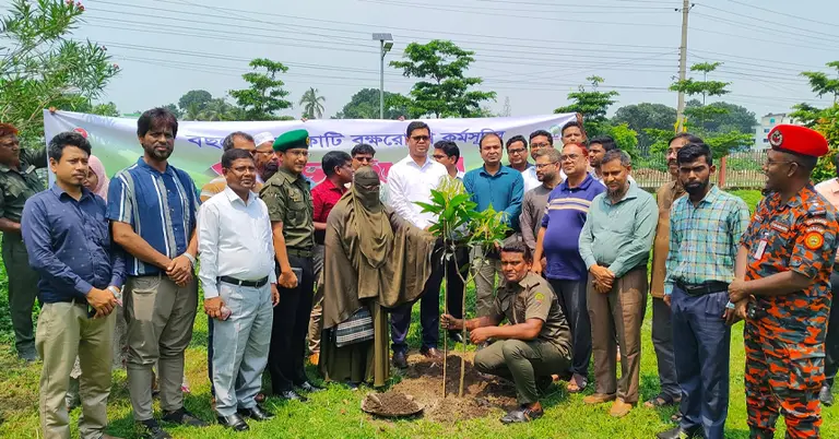 বৃক্ষরোপণ কর্মসূচির উদ্বোধন